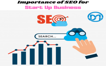 Importance of Search Engine Optimization for Start Up Business